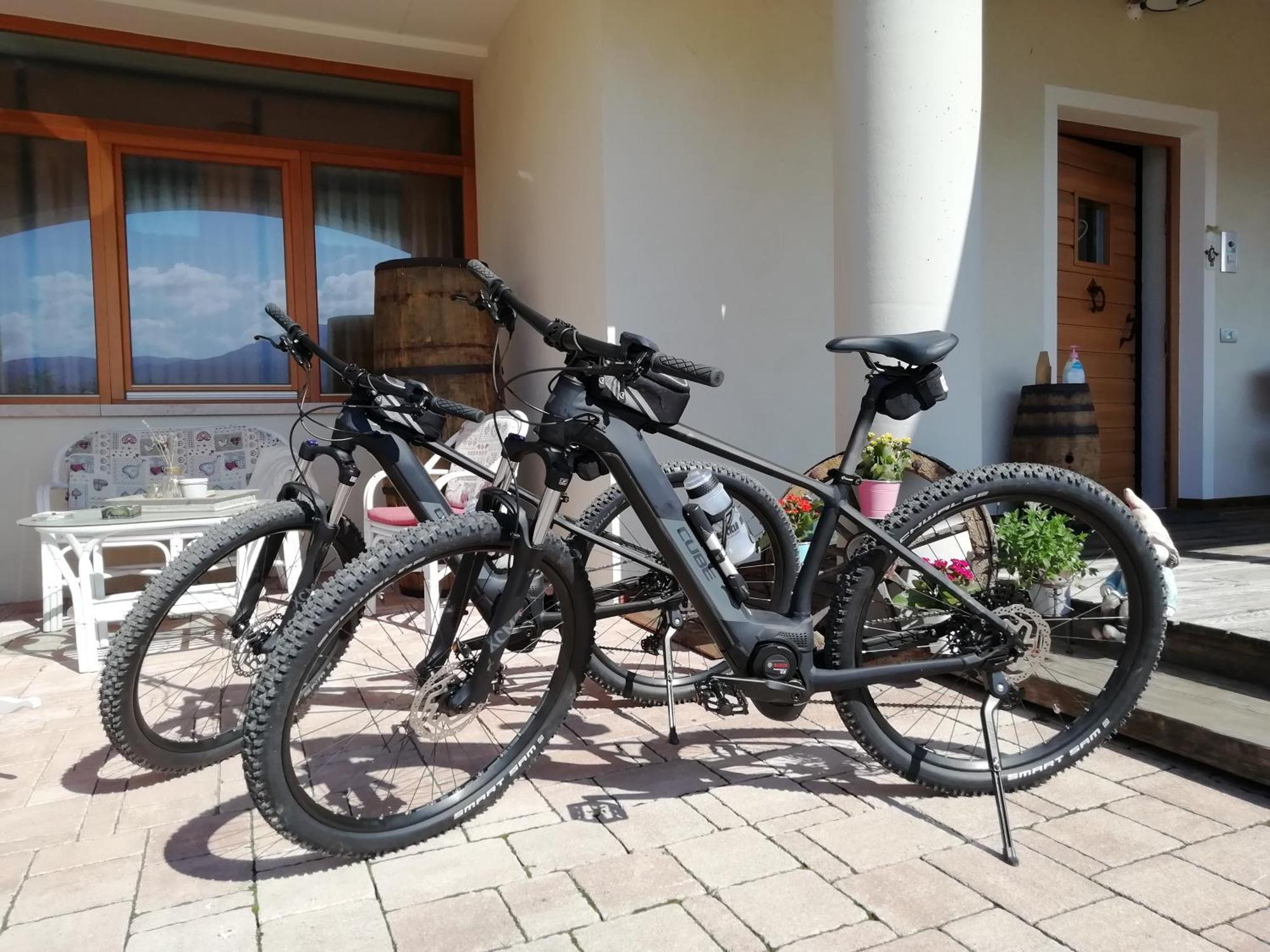 Bed and Breakfast Horse House Romallo Esterno foto
