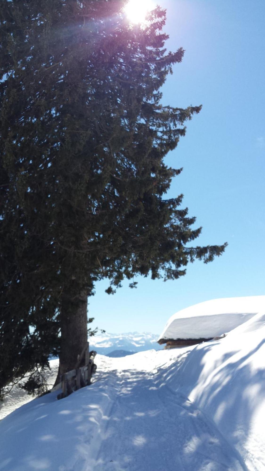 Bed and Breakfast Horse House Romallo Esterno foto