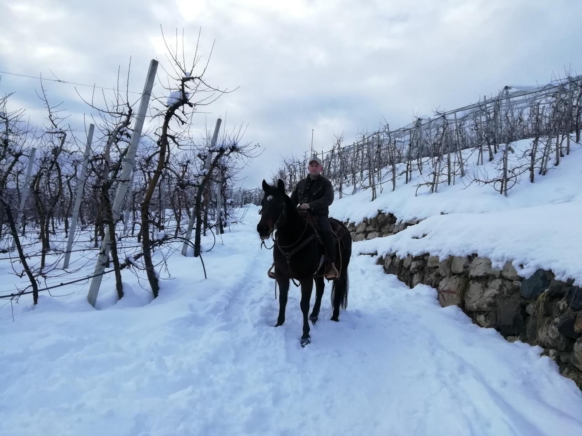 Bed and Breakfast Horse House Romallo Esterno foto
