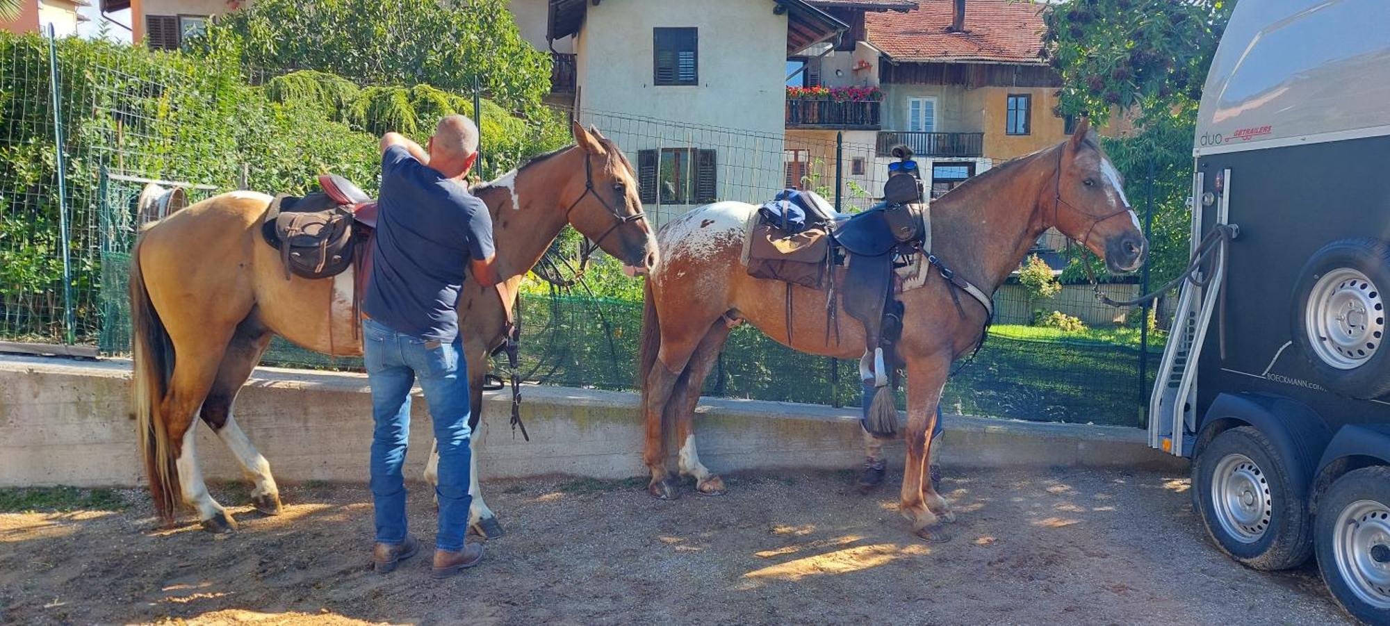 Bed and Breakfast Horse House Romallo Esterno foto