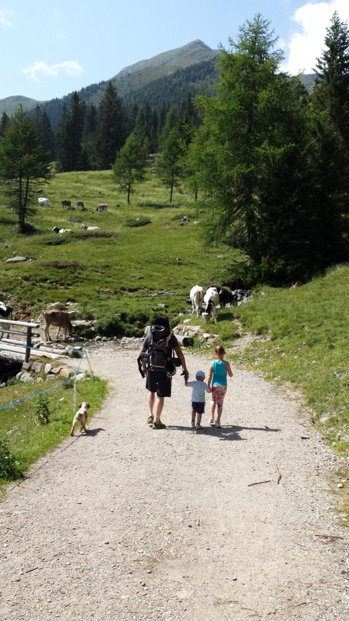 Bed and Breakfast Horse House Romallo Esterno foto
